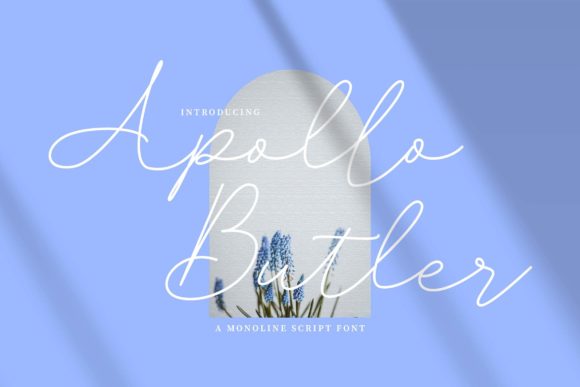 Apollo Butler: A Thin Lettered Script Font for Elegant Branding