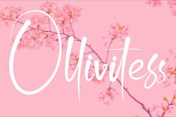 Elevate Your Web Design with Ollivitess Font