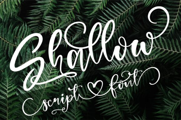 Enhance Your Brand with Shallow: A Premium Handwritten Font