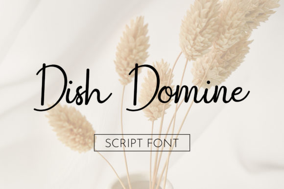 Enhance Your Campaigns with Dish Domine Font