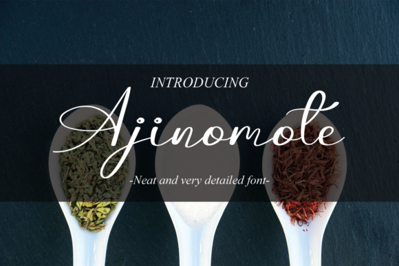The Ajinomote Font: A Handwritten Touch for Digital Design